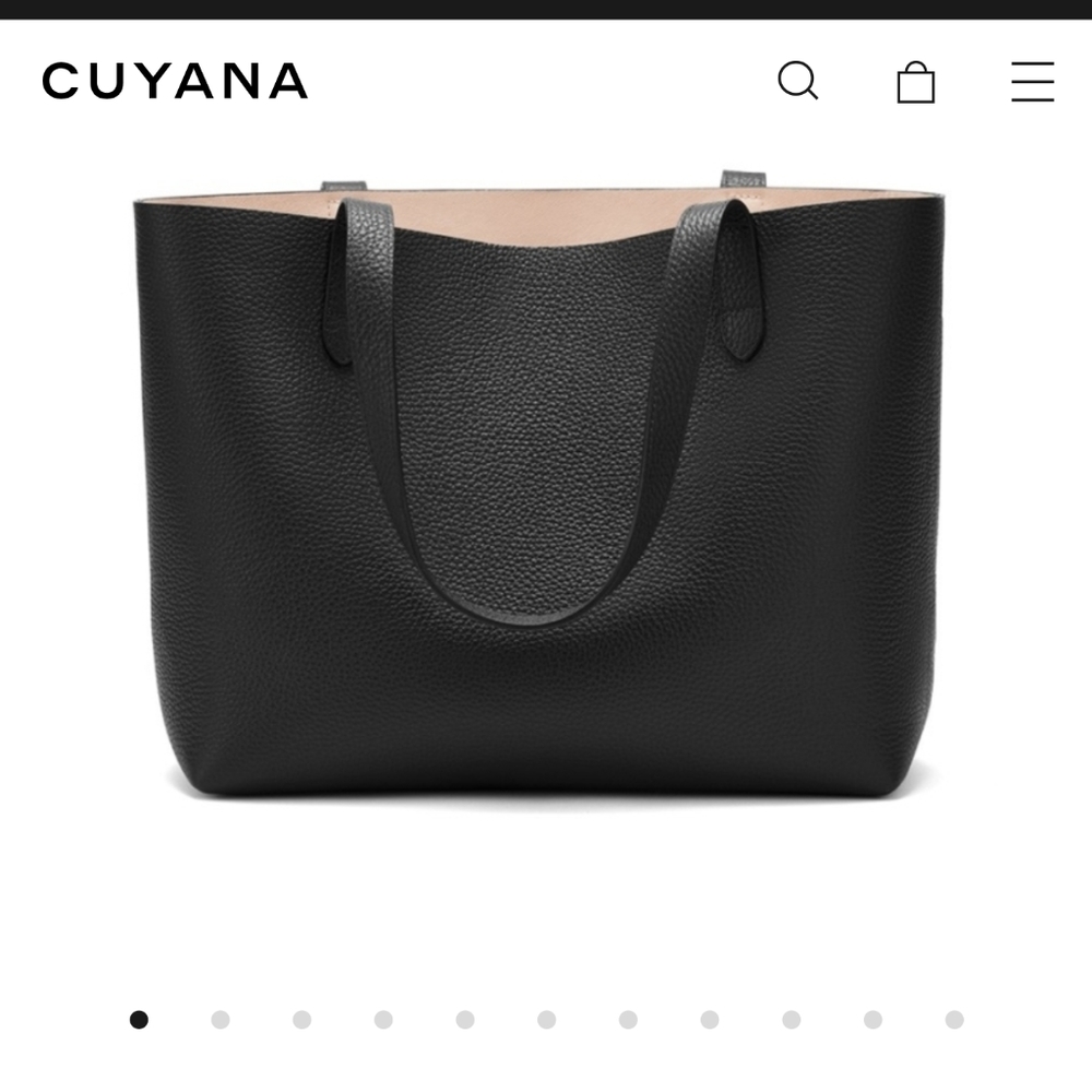 Cuyana Small Structured Tote Bag